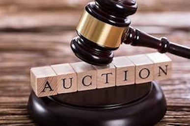 Auction Gavel